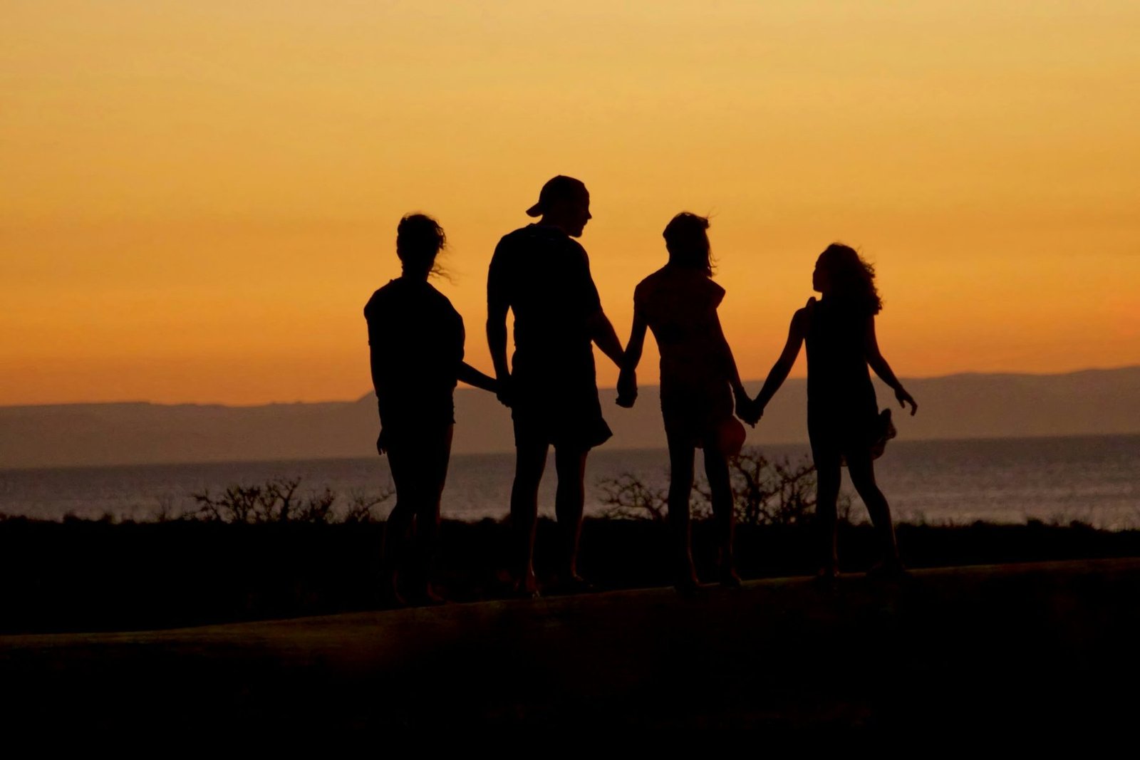A family of four holding hands, silhouetted against a golden evening sky.